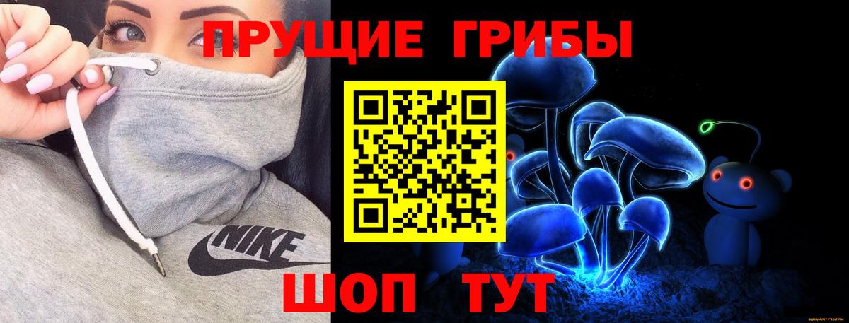 Галлюциногенные грибы прущие грибы Гудермес