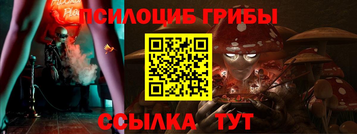 Галлюциногенные грибы GOLDEN TEACHER  Вход с VPN  Гудермес 